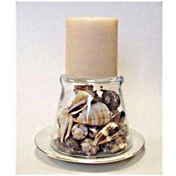 Sea Shell Candle Holder Craft