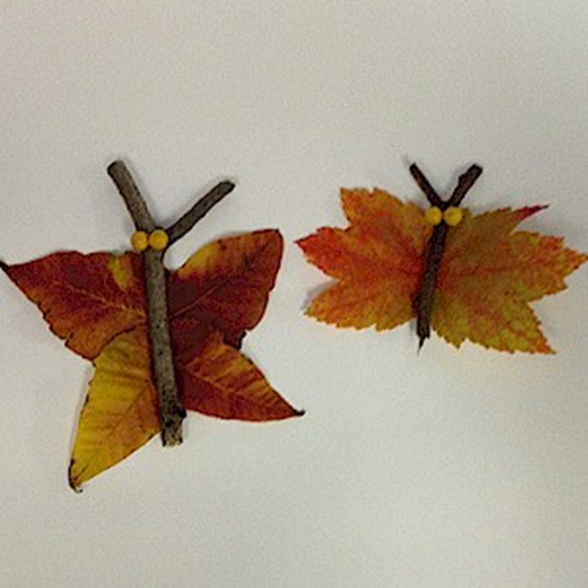 Fall leaves make great butterflies.