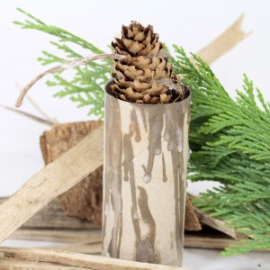 Wax coated pine cone firestarter