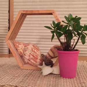 Craft Stick Hexagon Shelf or Frame