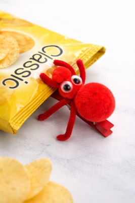 Pom Pom Ant Chip Clip Craft