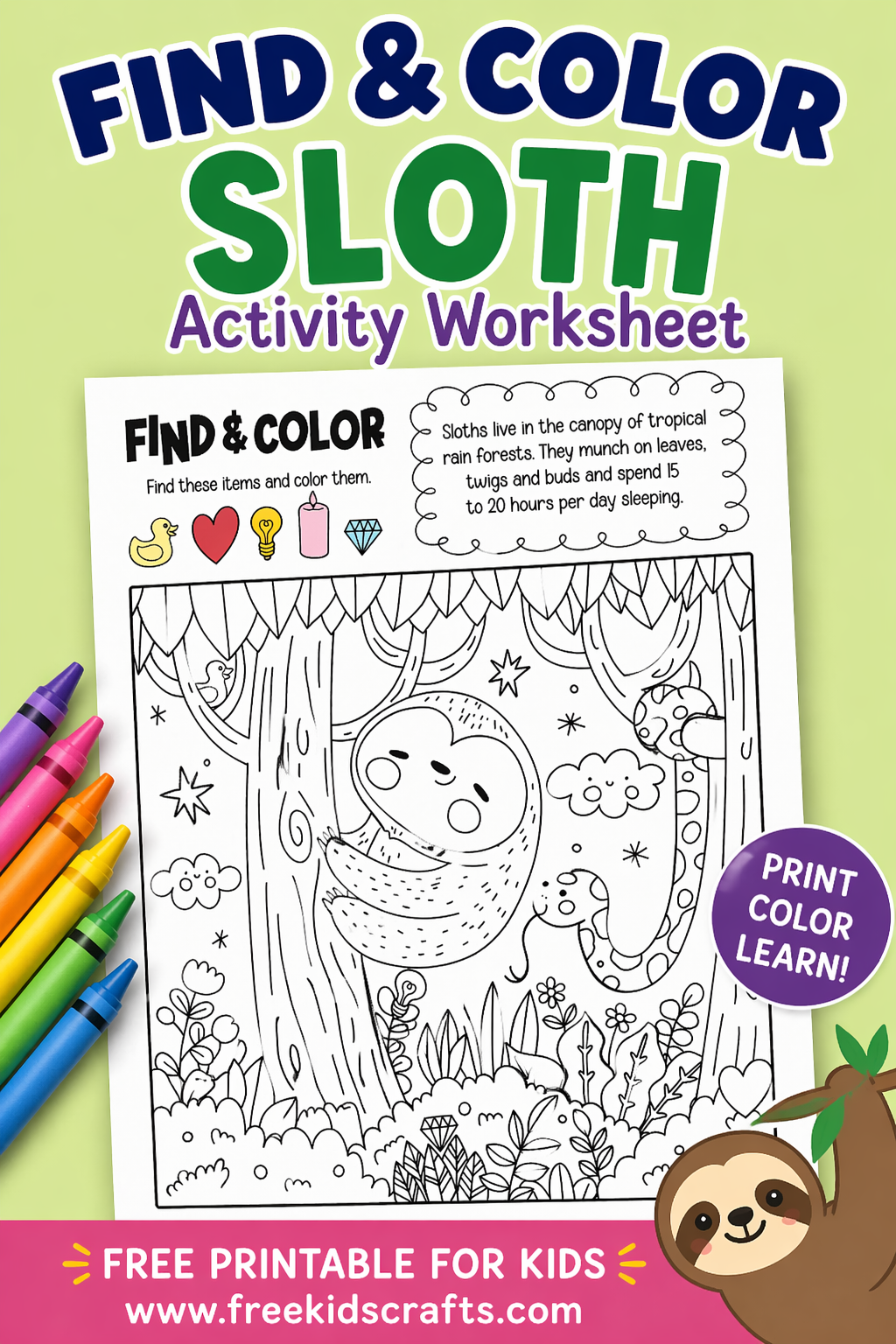 Find and Color Sloth Activity Worksheet