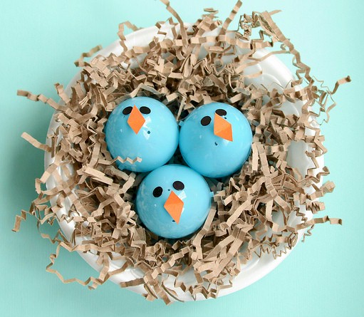 Baby Bluebirds In A Nest Craft