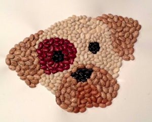 Dog Mosaic made from Beans.