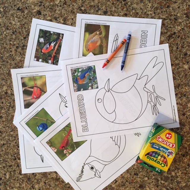 free coloring book pages birds