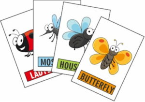 Playing Cards for kids with pictures of bugs.