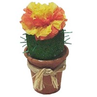Cactus Flower Favor