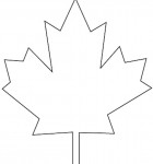 Canadian Maple Leaf