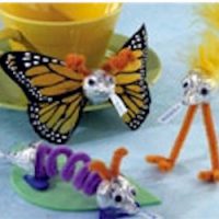 Candy Kiss Butterfly and Katerpillar