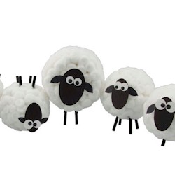 Cottonball Sheep