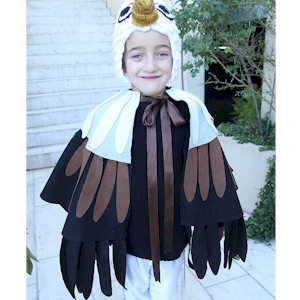 Make An Eagle Costume
