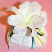 Easter Lilly Treat Bag