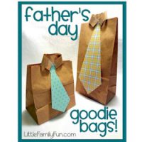 Paper Bag Goodie Bags for Dad