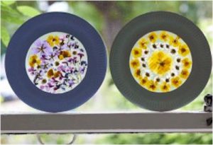 Flower Sun Catchers