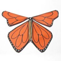 Fluttering Monarch Butterfly