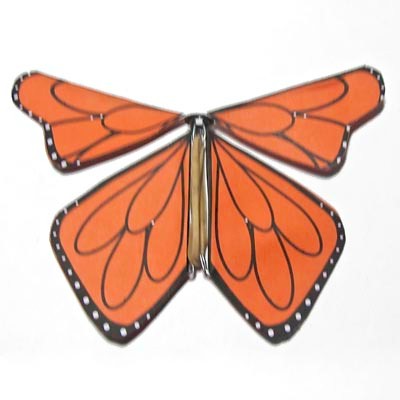 Fluttering Monarch Butterfly