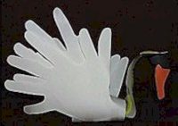 Handprint Swan