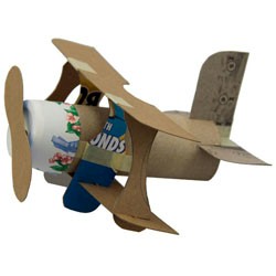 Mini Bi-Plane