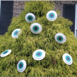 Monster Eye Decoration