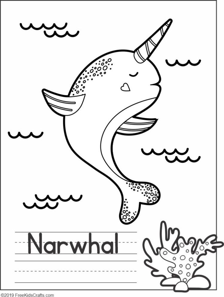 Narwhal Coloring Page Plus 5 More Sea Life Coloring Pages