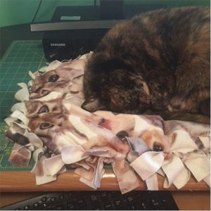 Cat Pillow Craft