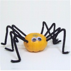 Mini  Pumpkin Spider