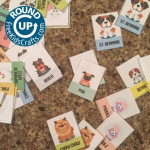 Roundup of Pet Crafts and Activities