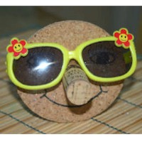 Recycled Sunglasses Holder